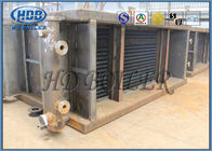 Économiseur de centrale de biomasse de pièce de rechange de chaudière pour la chaudière